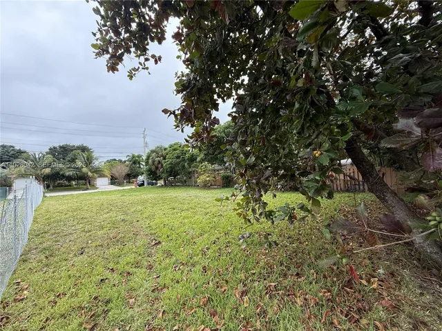 a view of a yard with a tree