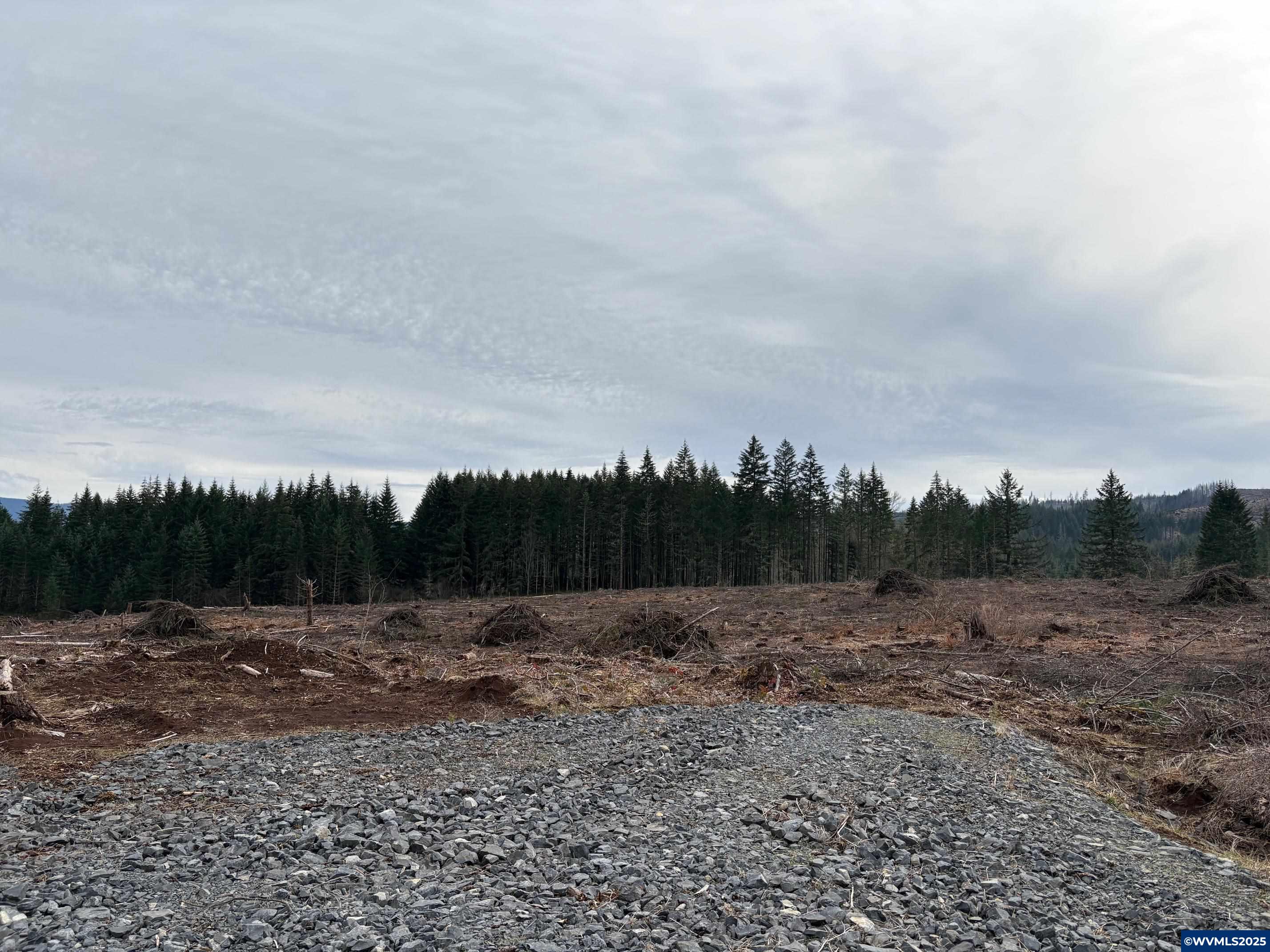 0 South Hardy Road Molalla, OR 97038 - Photo 10 of 26