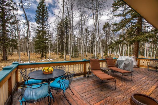 2096 Cedar Mountain Road Divide, CO 80814 - Photo 33 of 42 Gallery Image 33