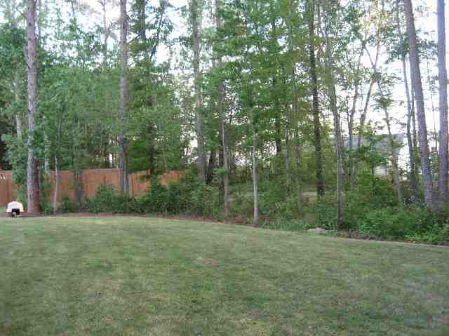 357 Edenberry Way Easley, SC 29642 - Photo 4 of 23 Gallery Image 4