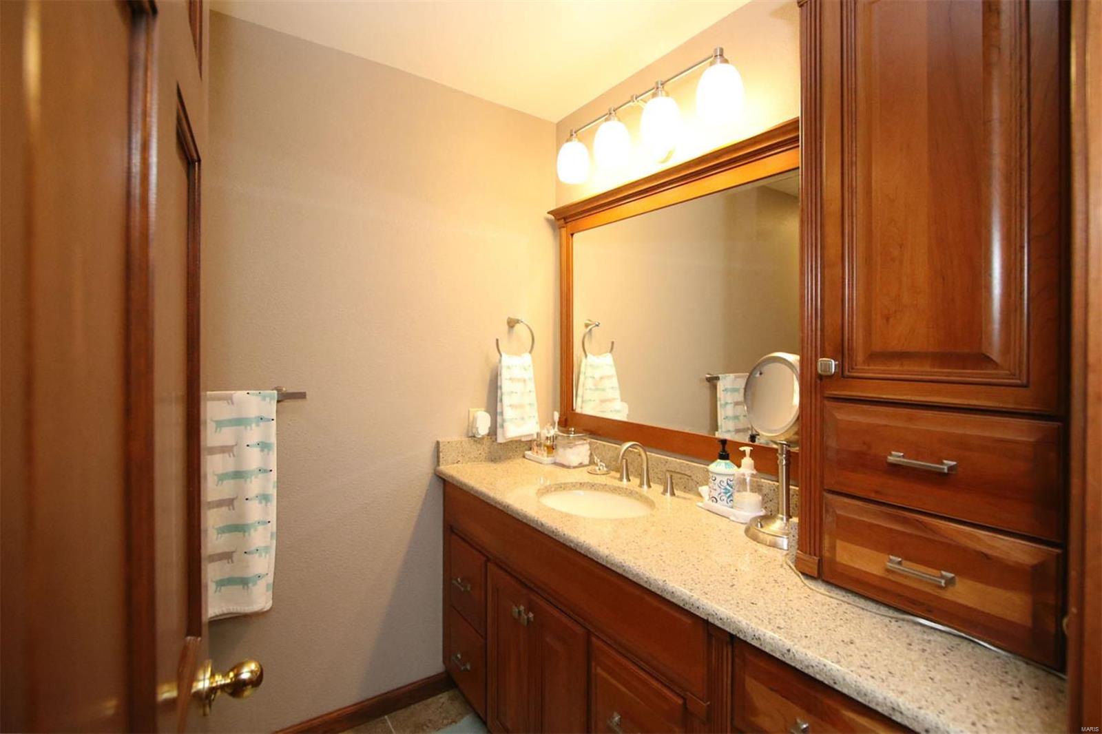 177 Snake Road Dorsey, IL 62021 - Photo 16 of 97