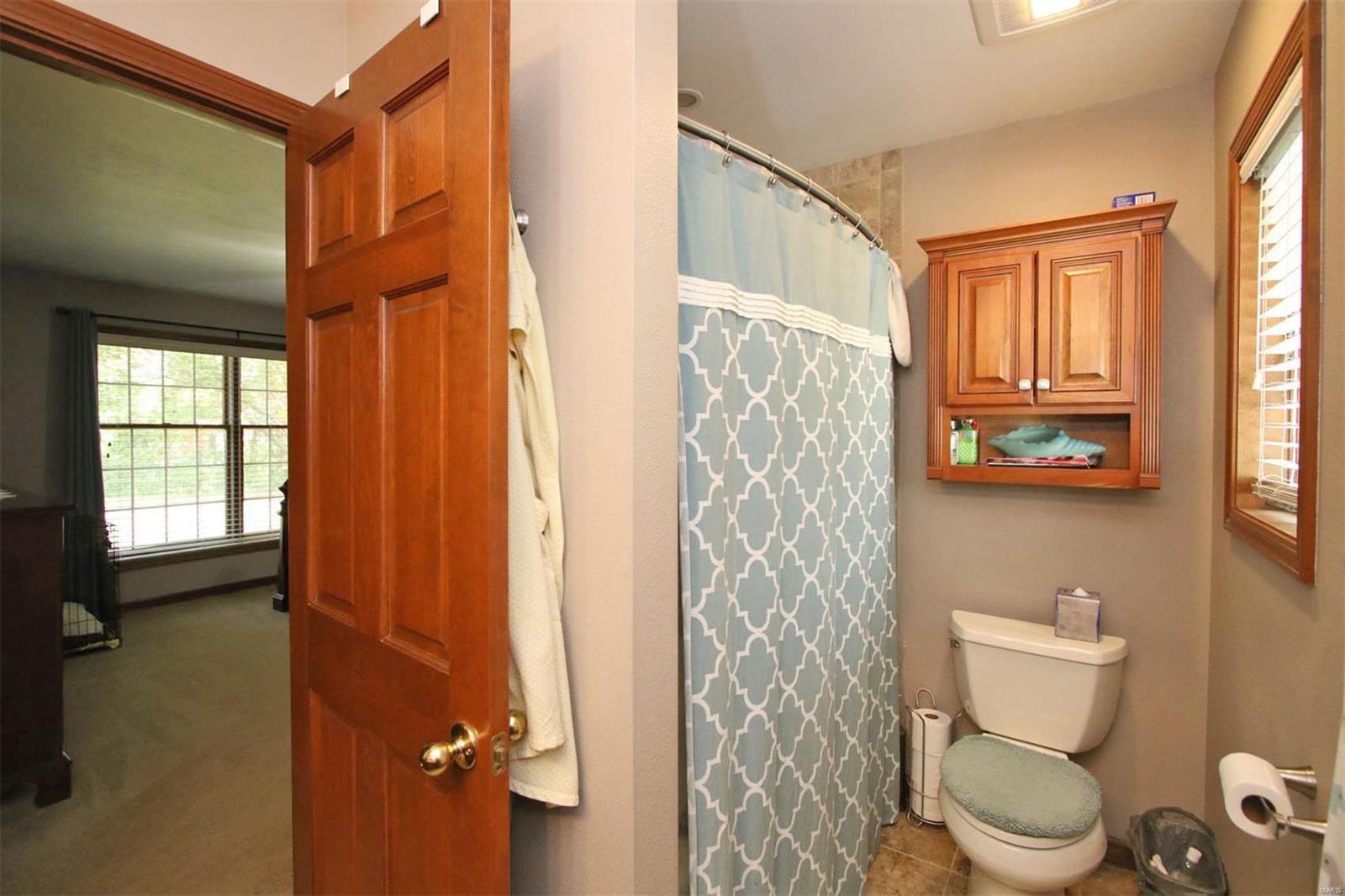 177 Snake Road Dorsey, IL 62021 - Photo 18 of 97