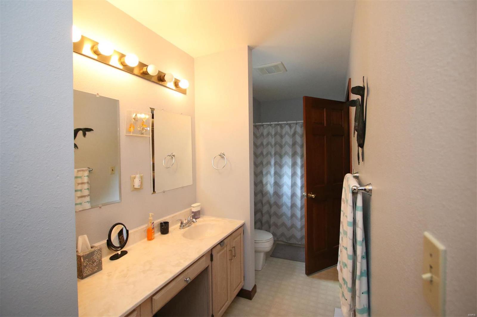 177 Snake Road Dorsey, IL 62021 - Photo 45 of 97