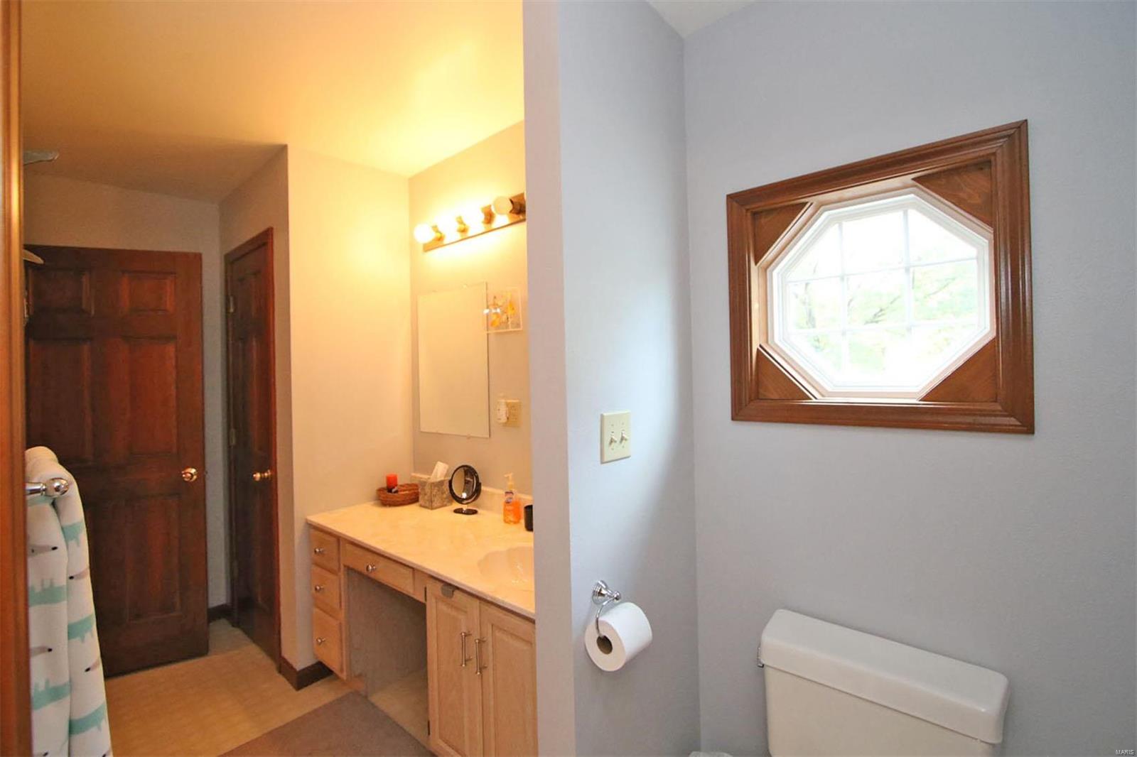 177 Snake Road Dorsey, IL 62021 - Photo 46 of 97