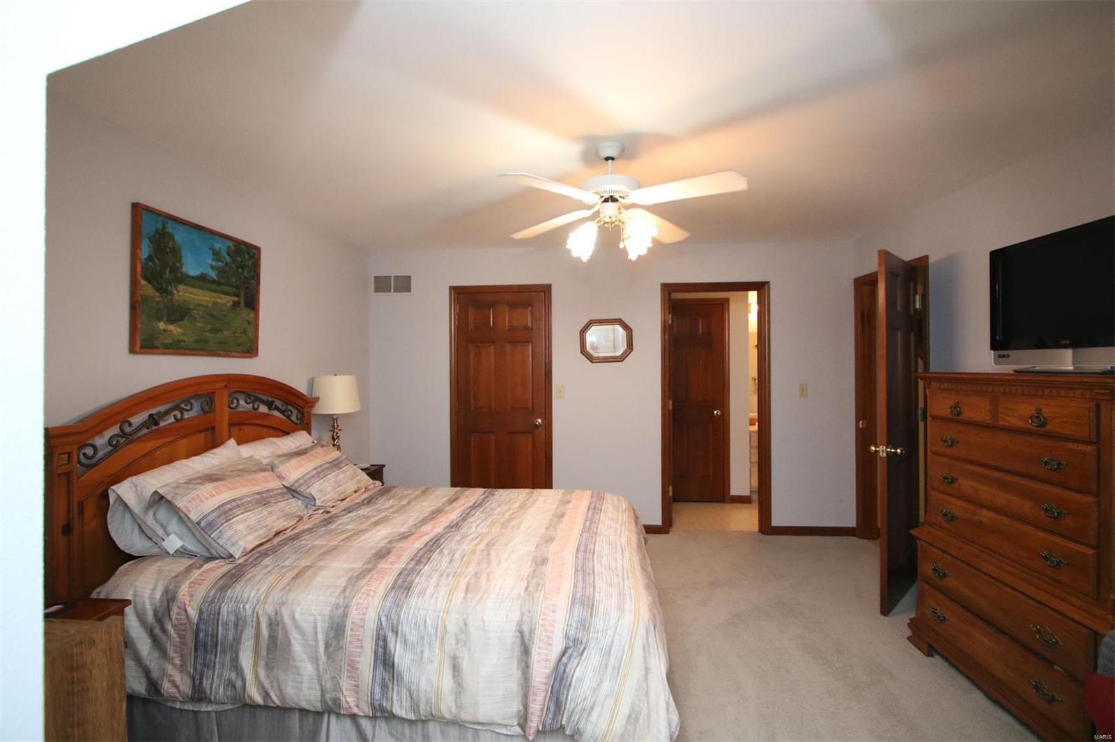 177 Snake Road Dorsey, IL 62021 - Photo 49 of 97