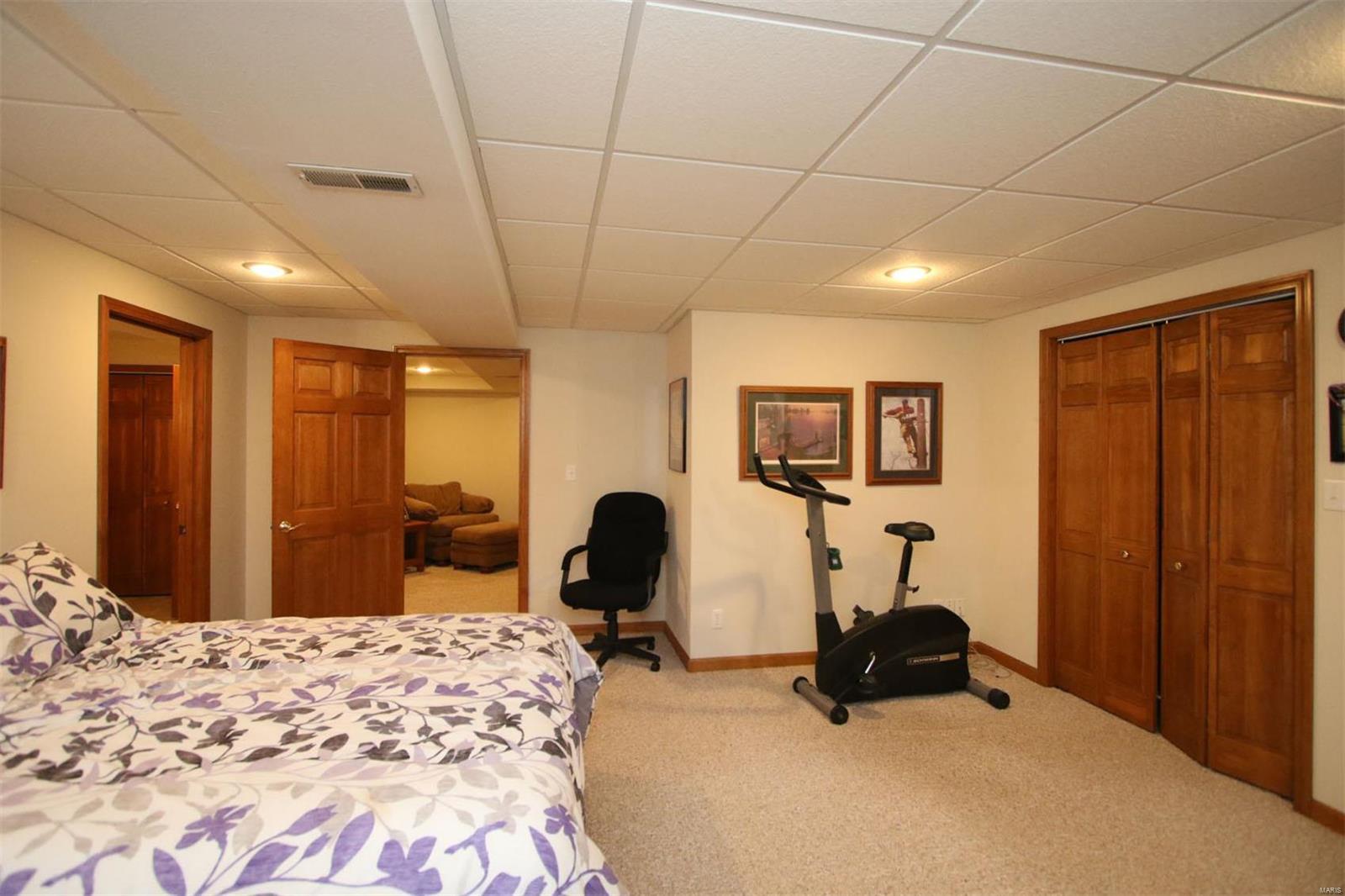 177 Snake Road Dorsey, IL 62021 - Photo 62 of 97