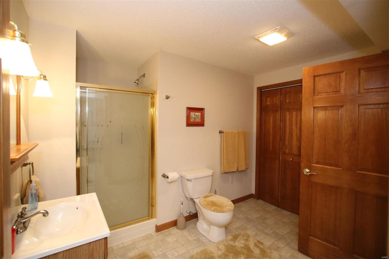 177 Snake Road Dorsey, IL 62021 - Photo 65 of 97