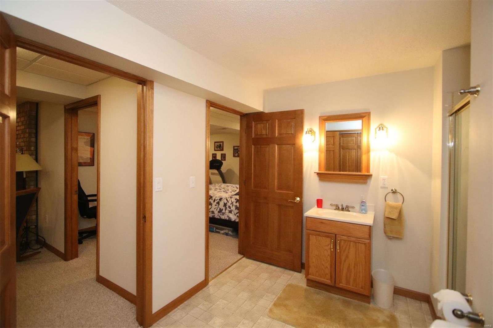 177 Snake Road Dorsey, IL 62021 - Photo 66 of 97