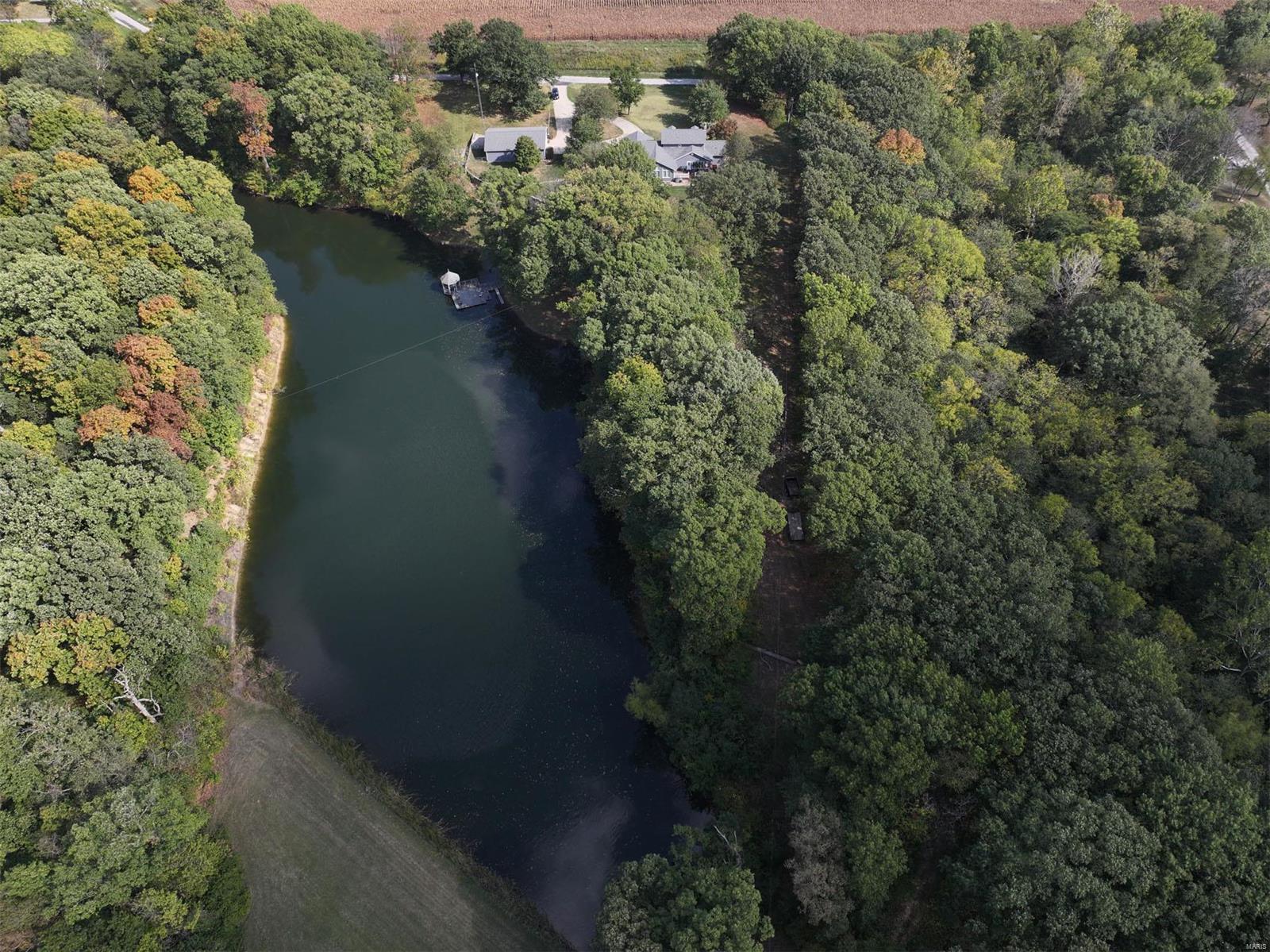 177 Snake Road Dorsey, IL 62021 - Photo 77 of 97