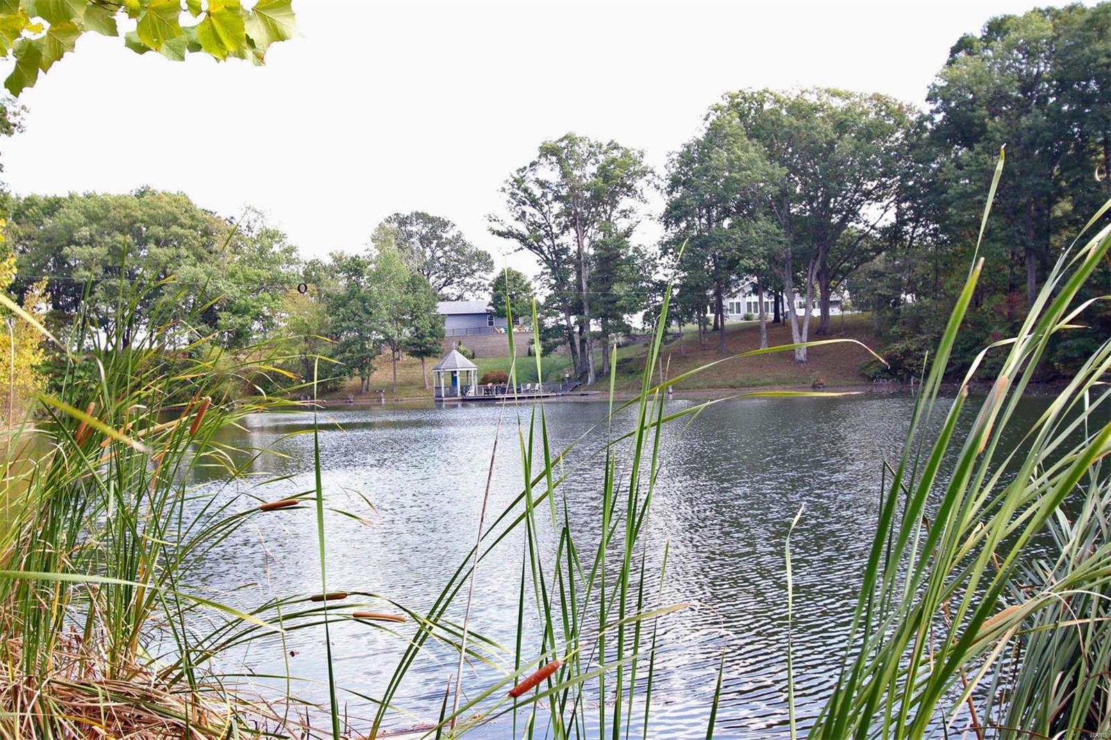 177 Snake Road Dorsey, IL 62021 - Photo 97 of 97