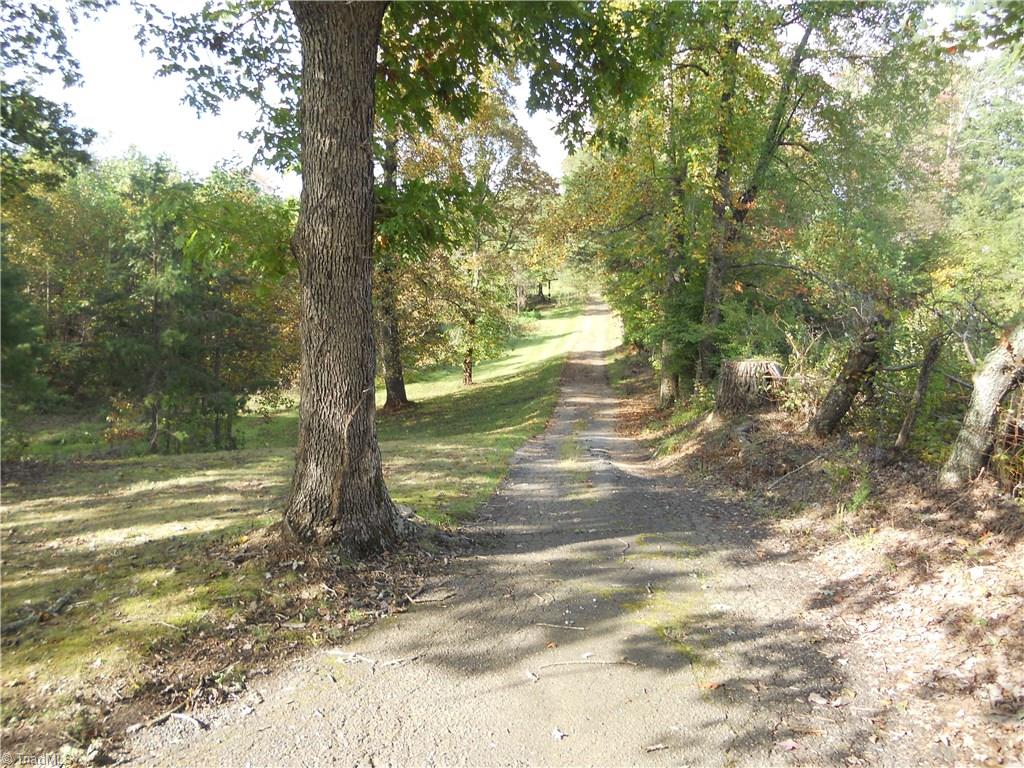 4166 Highway 704 Sandy Ridge, NC 27046 - Photo 4 of 22