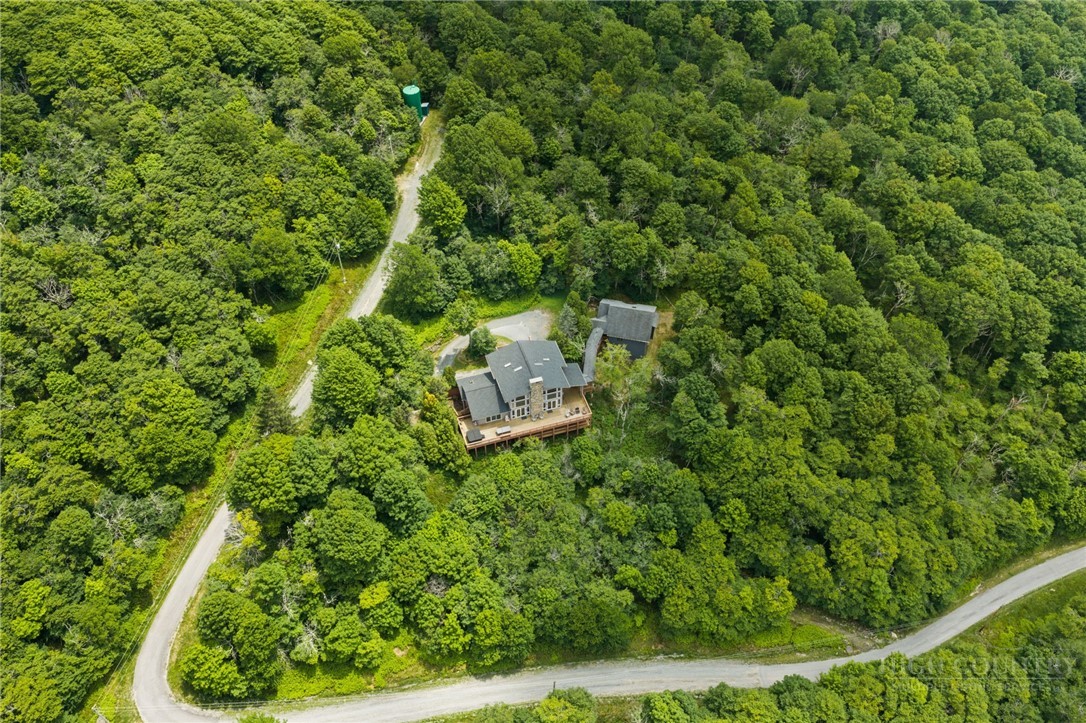 200 Summit Road Beech Mountain, NC 28604 - Photo 31 of 47