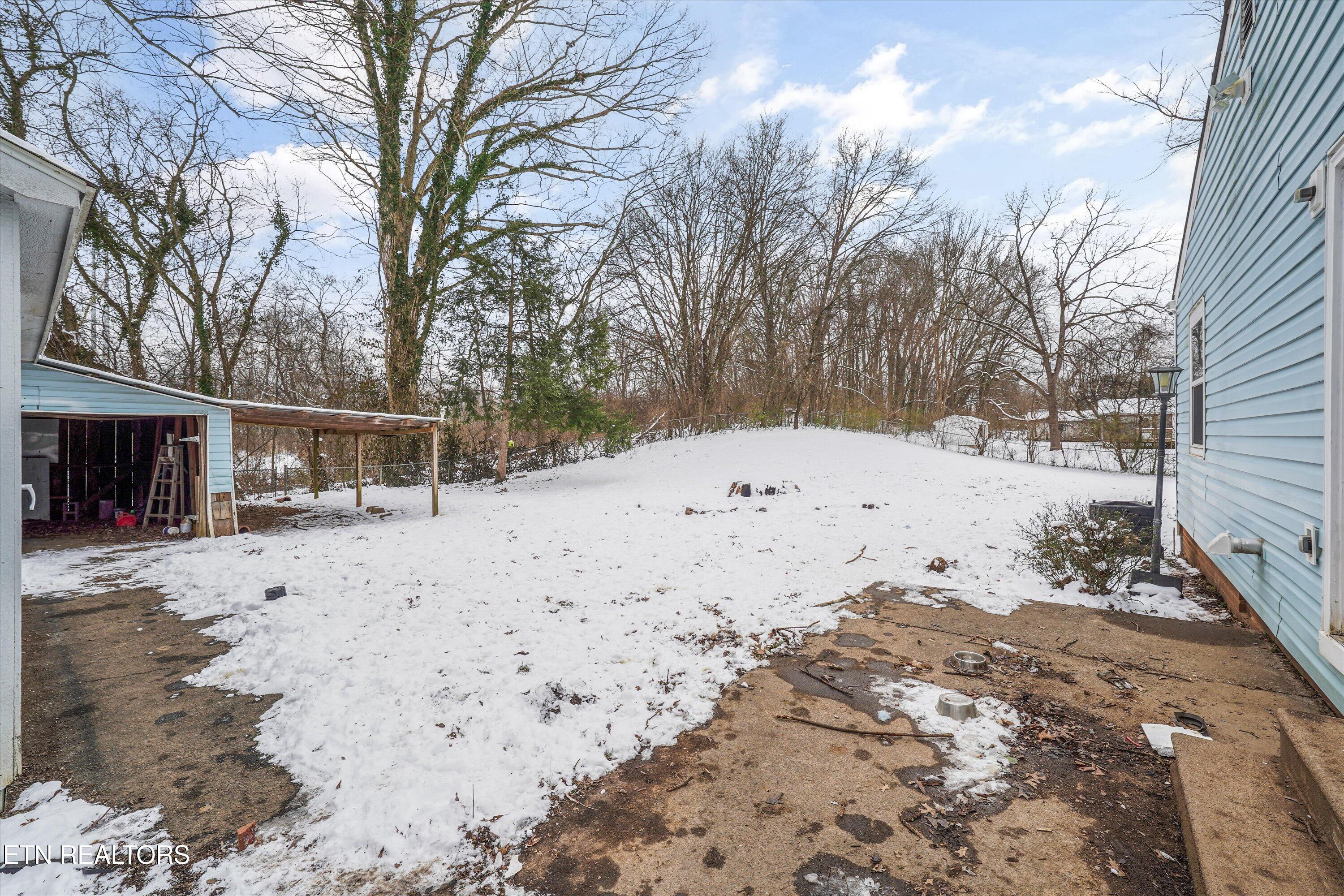 966 Poplar Street Alcoa, TN 37701 - Photo 29 of 34 Backyard