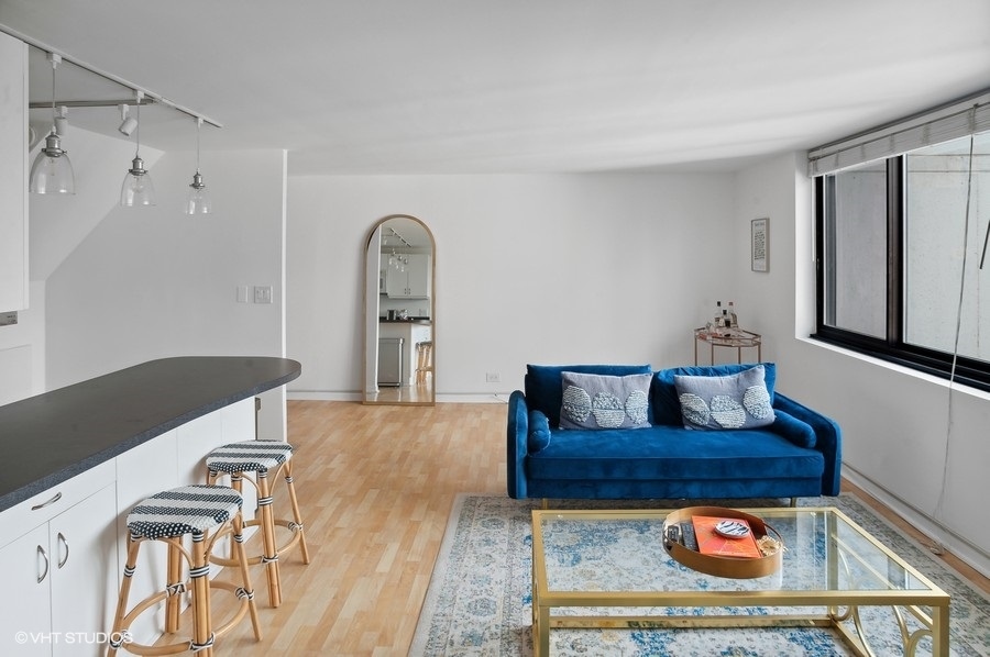 1221 North Dearborn Parkway, Unit PH10N Chicago, IL 60610 - Photo 4 of 23 a living room with furniture and a rug