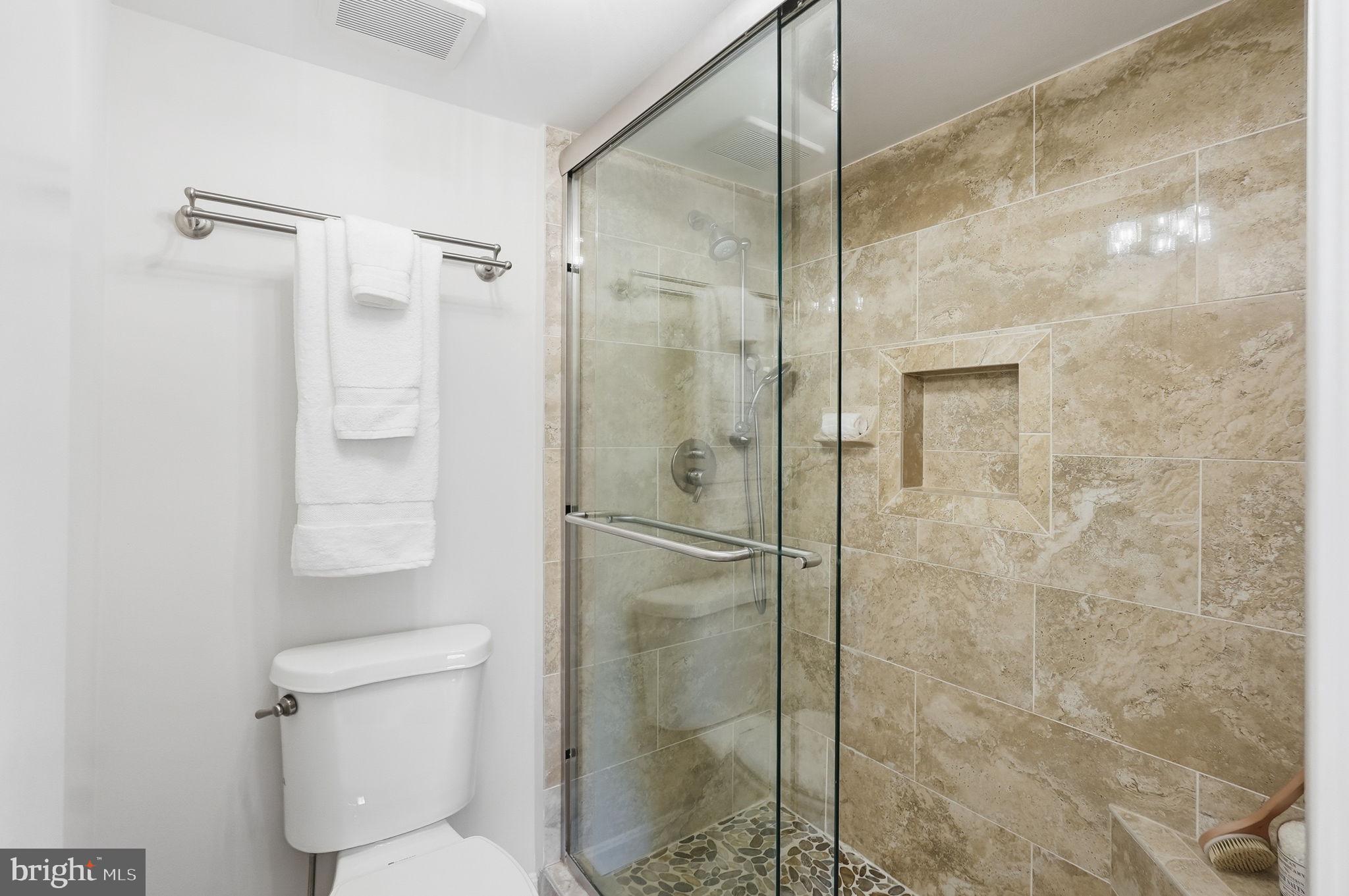 8647 Hawk Run Terrace Gaithersburg, MD 20886 - Photo 12 of 22 Primary Shower