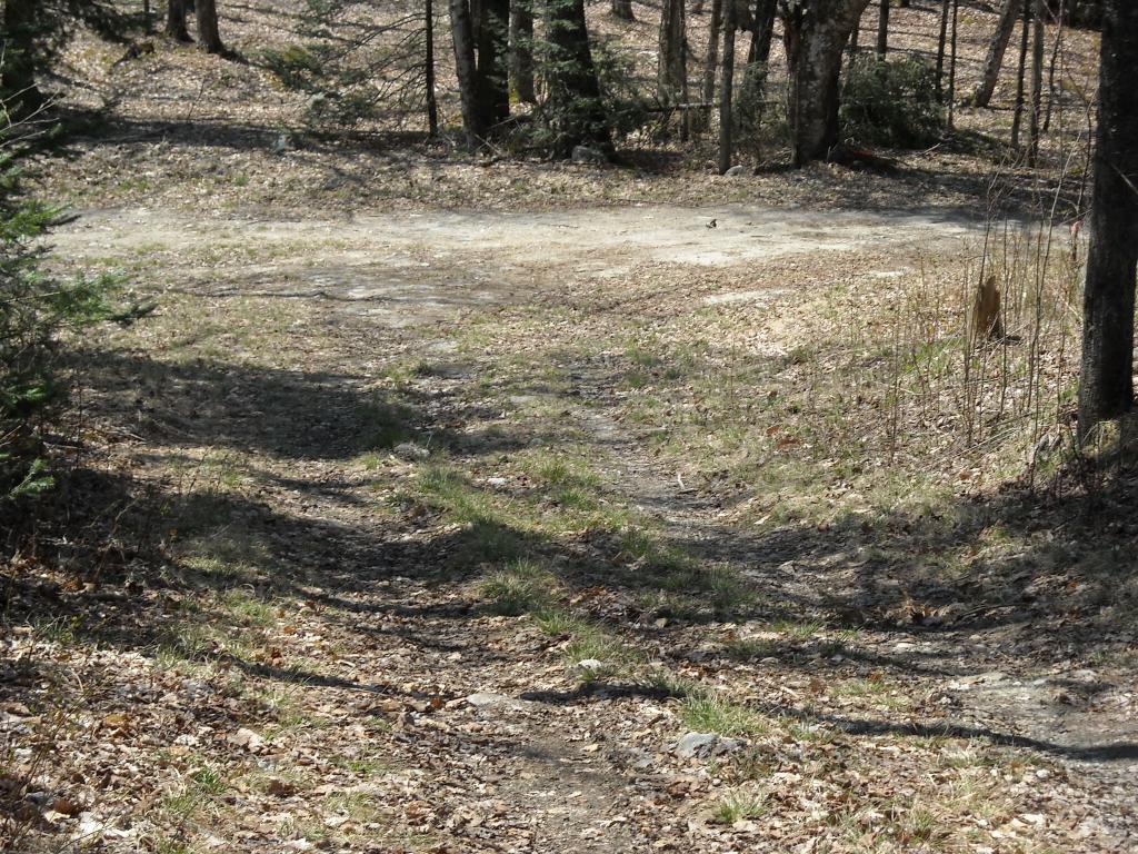 Lot 6 Big Rock Road Morgan, VT 05853 - Photo 1 of 9 Gallery Image 1