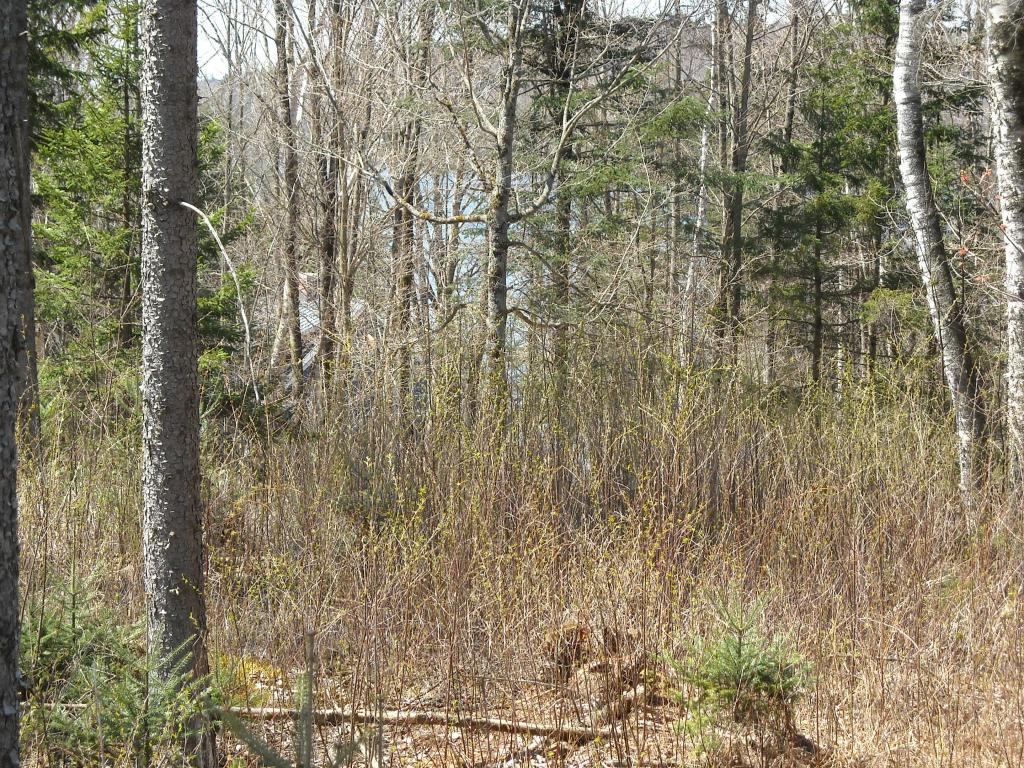 Lot 6 Big Rock Road Morgan, VT 05853 - Photo 6 of 9 Gallery Image 6
