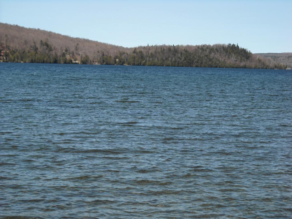 Lot 6 Big Rock Road Morgan, VT 05853 - Photo 7 of 9 Gallery Image 7