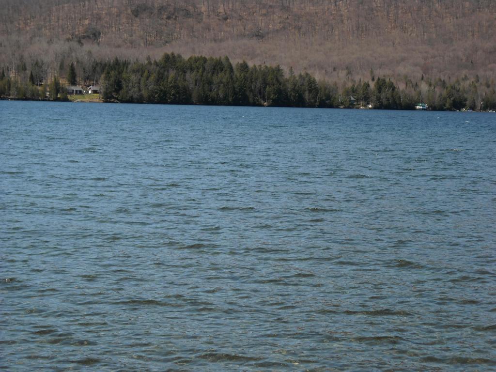 Lot 6 Big Rock Road Morgan, VT 05853 - Photo 8 of 9 Gallery Image 8