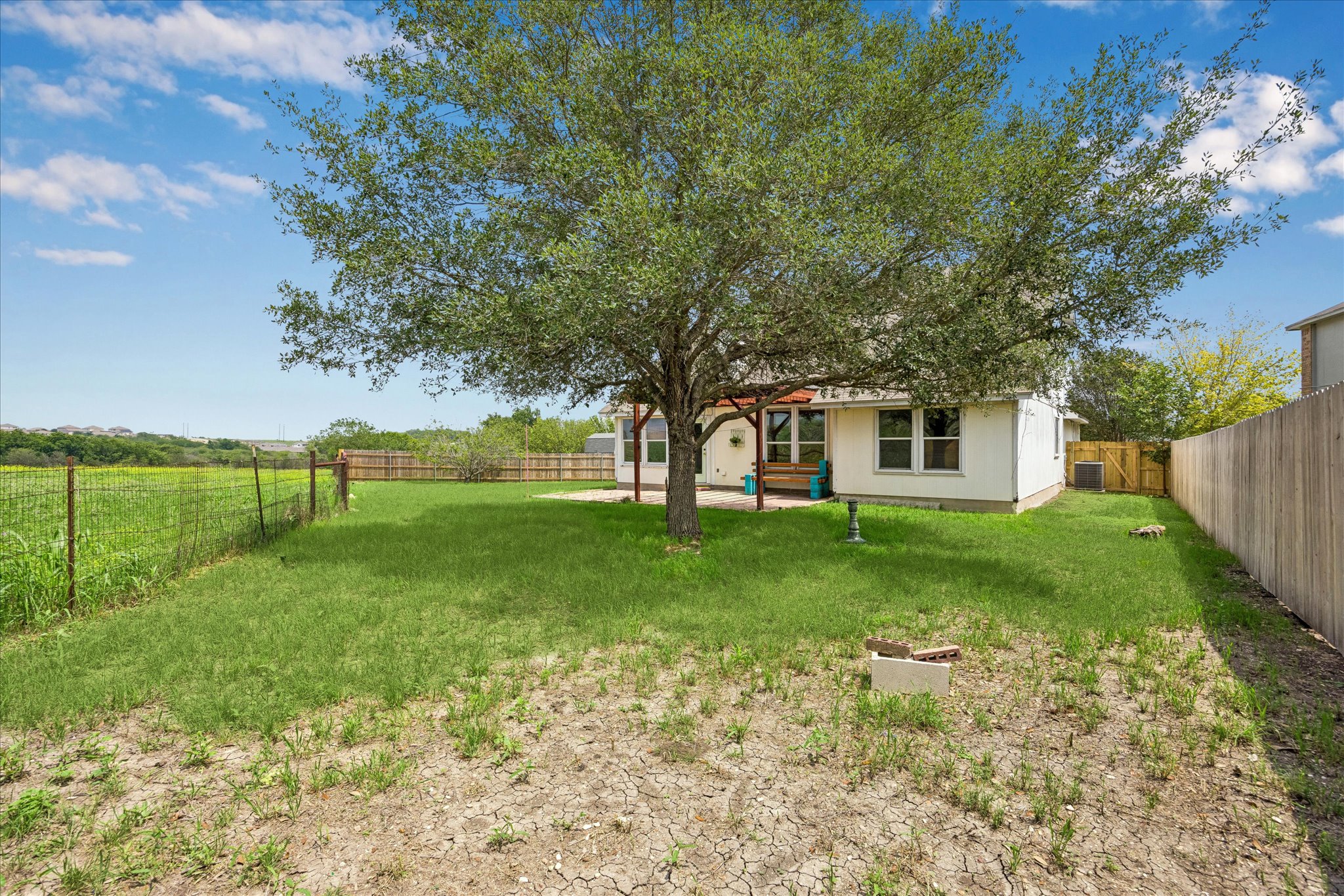 124 Lago Grande Drive Kyle, TX 78640 - Photo 16 of 16 Expansive backyard with a large shade tree, green lawn, and a wooden privacy fence