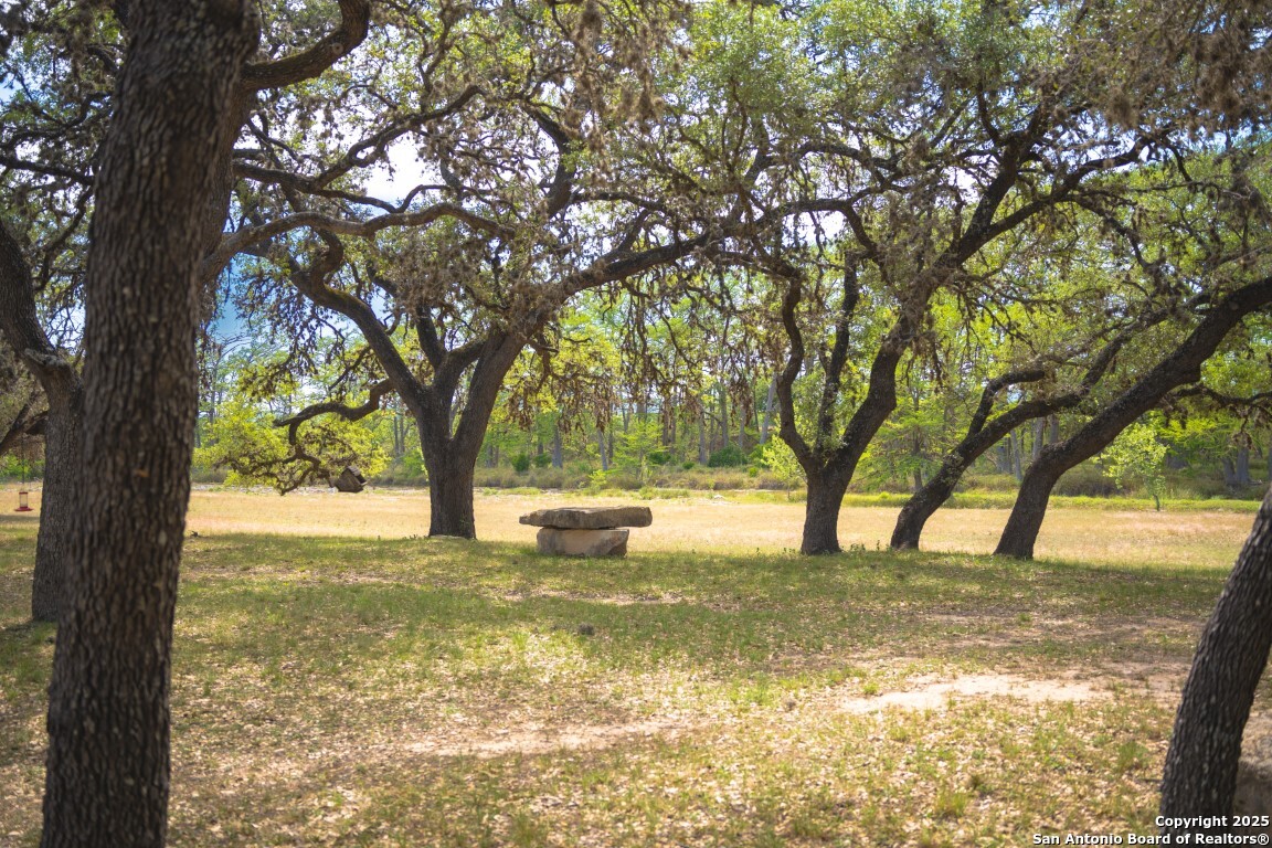 950 River Road Utopia, TX 78884 - Photo 11 of 31