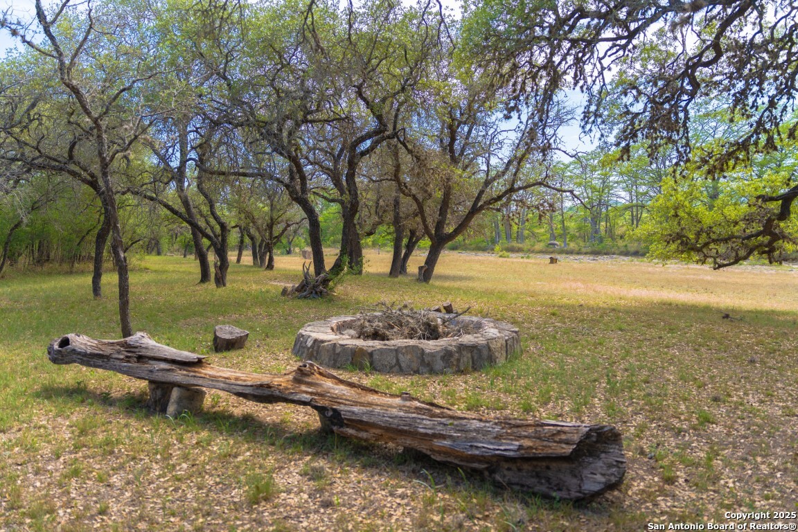 950 River Road Utopia, TX 78884 - Photo 6 of 31
