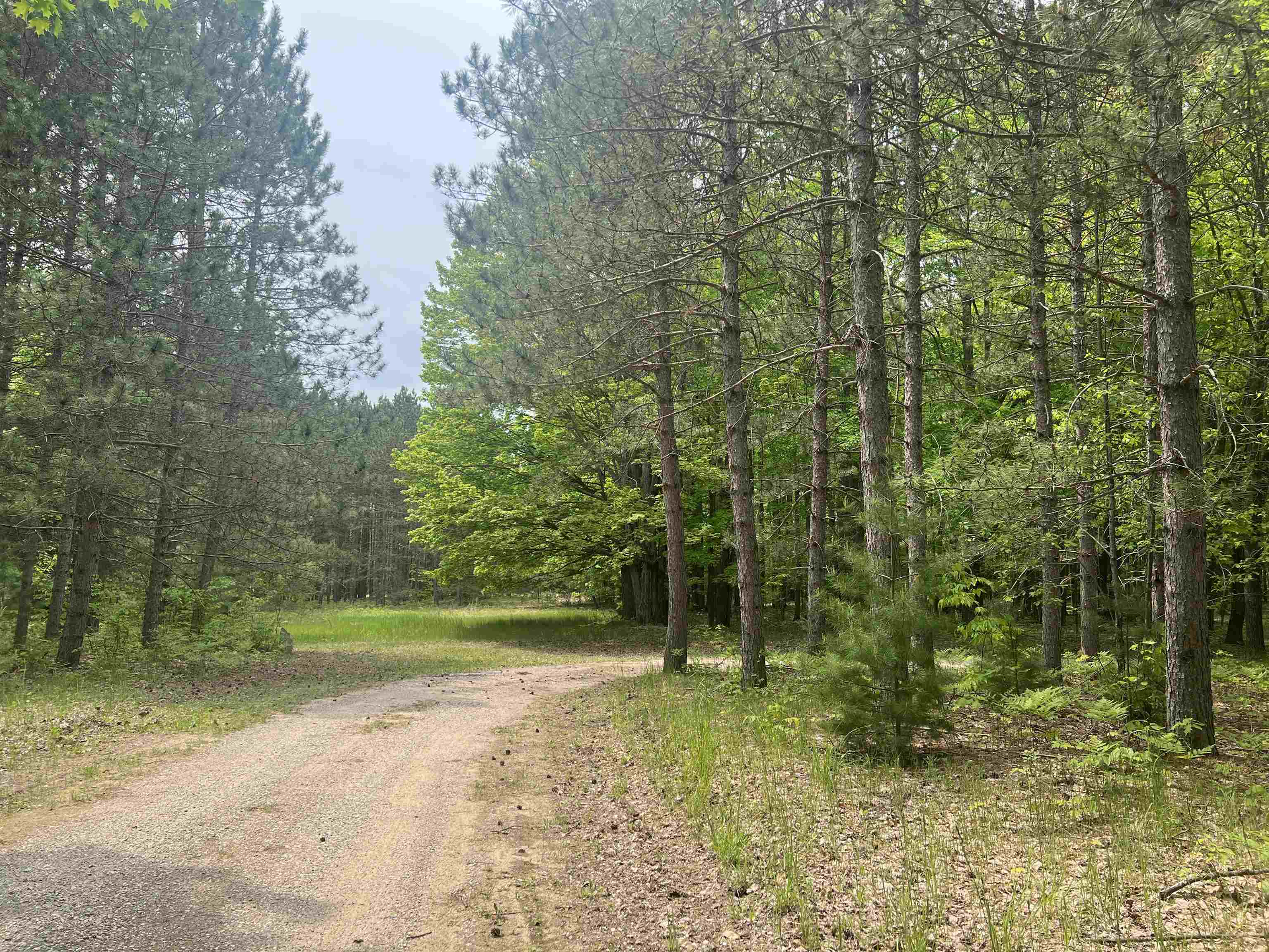 135 Montgomery Road Southwest South Boardman, MI 49680 - Photo 59 of 59