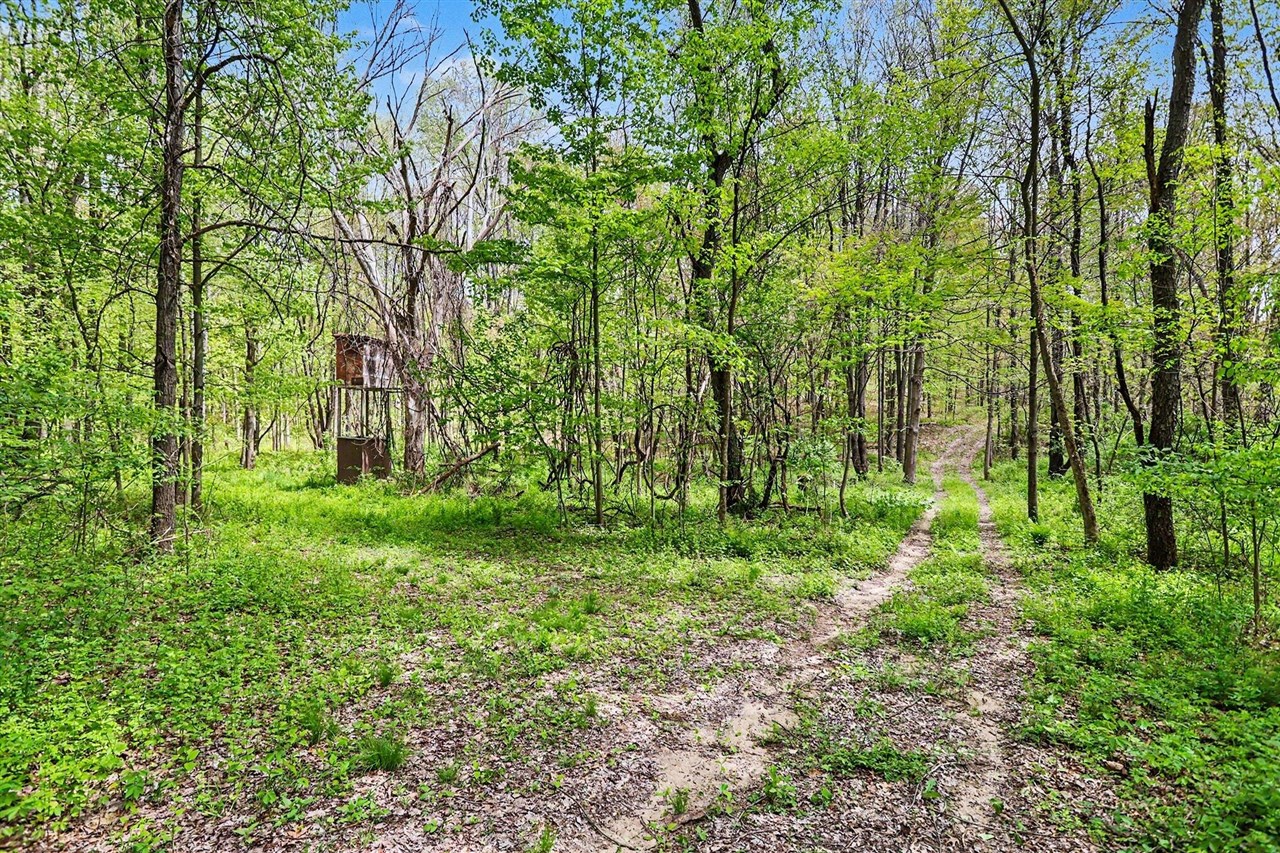 North Uldriks Road Battle Creek, MI 49017 - Photo 9 of 13