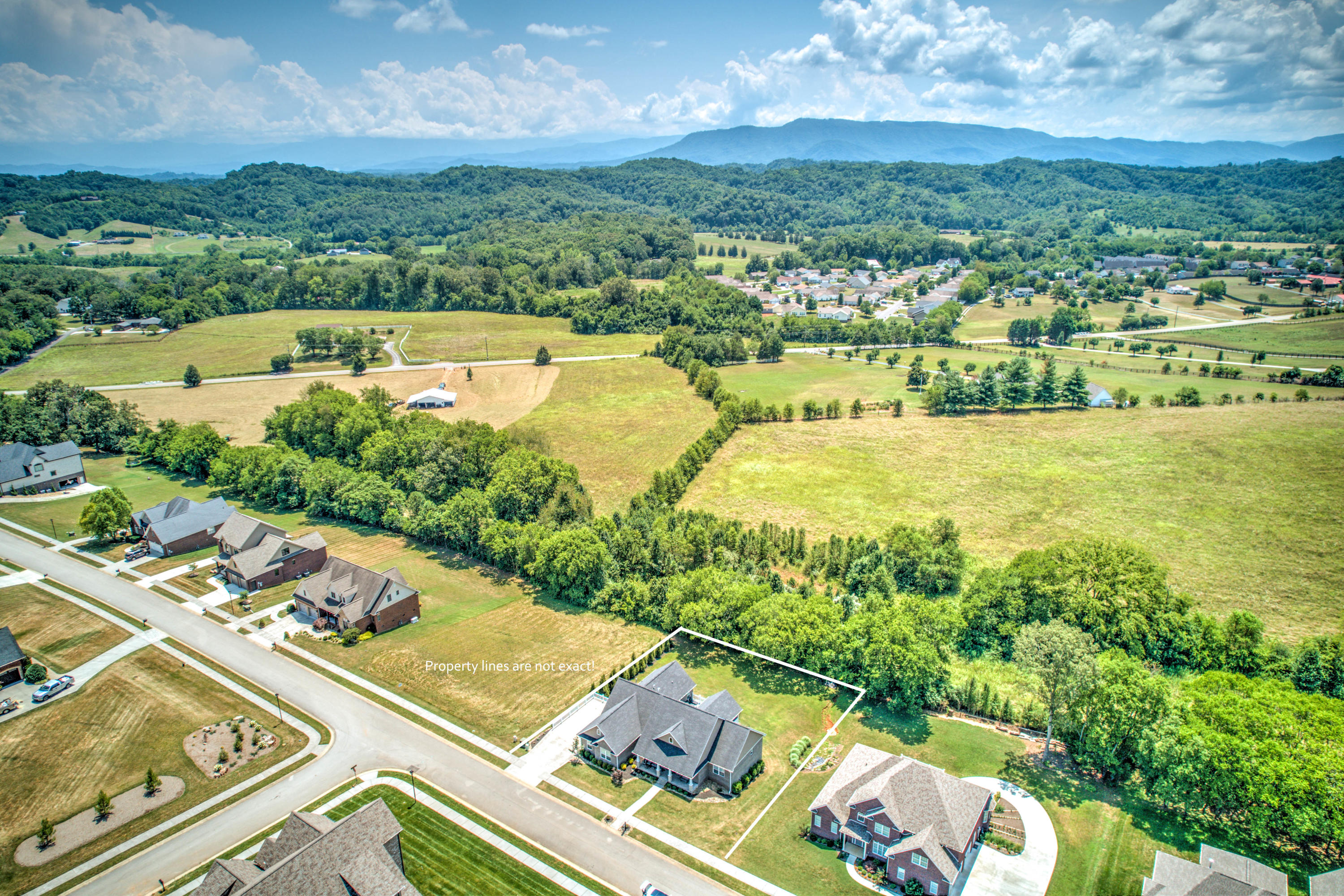 1448 Rippling Waters Circle Sevierville, TN 37876 - Photo 4 of 40 4