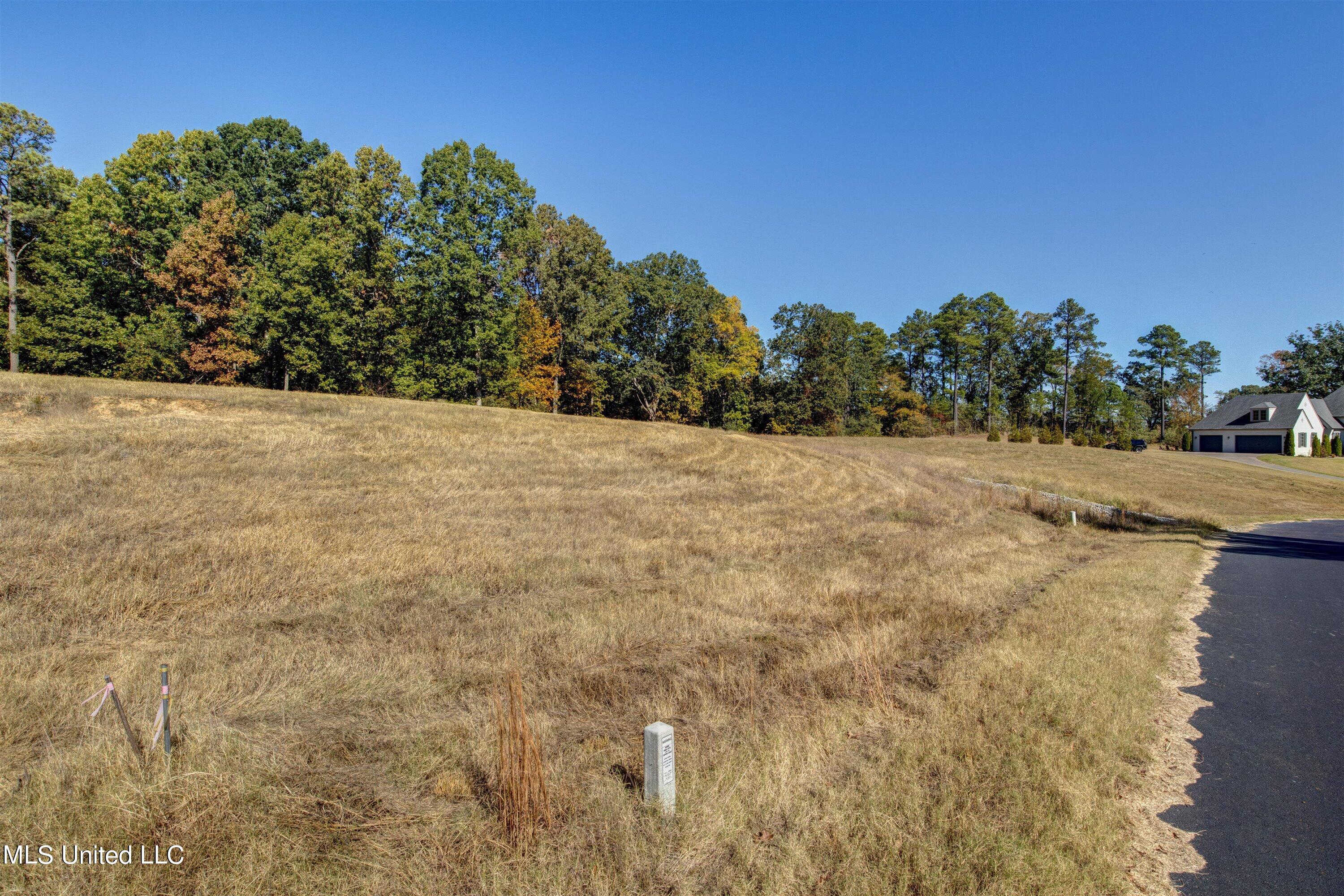 5665 Ginners Lane Hernando, MS 38632 - Photo 13 of 16 12-Ground-1