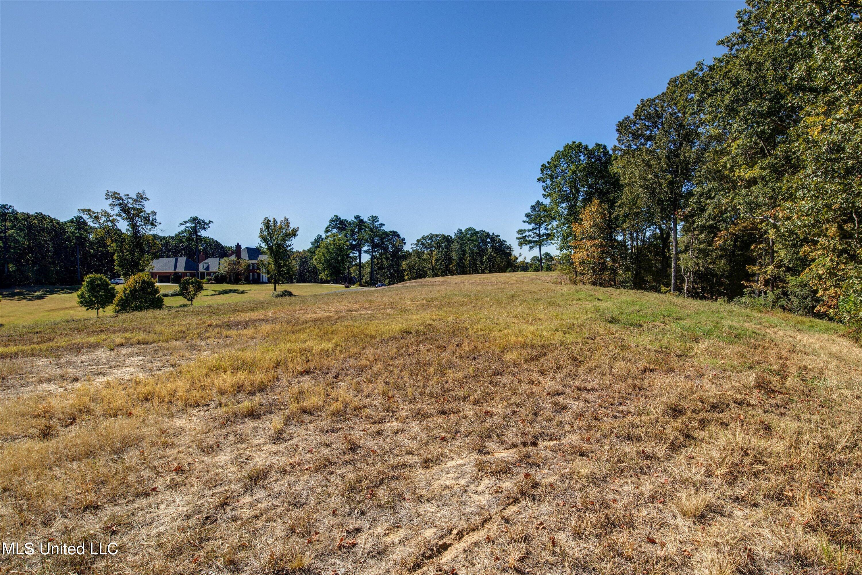 5665 Ginners Lane Hernando, MS 38632 - Photo 15 of 16 14-Ground-3