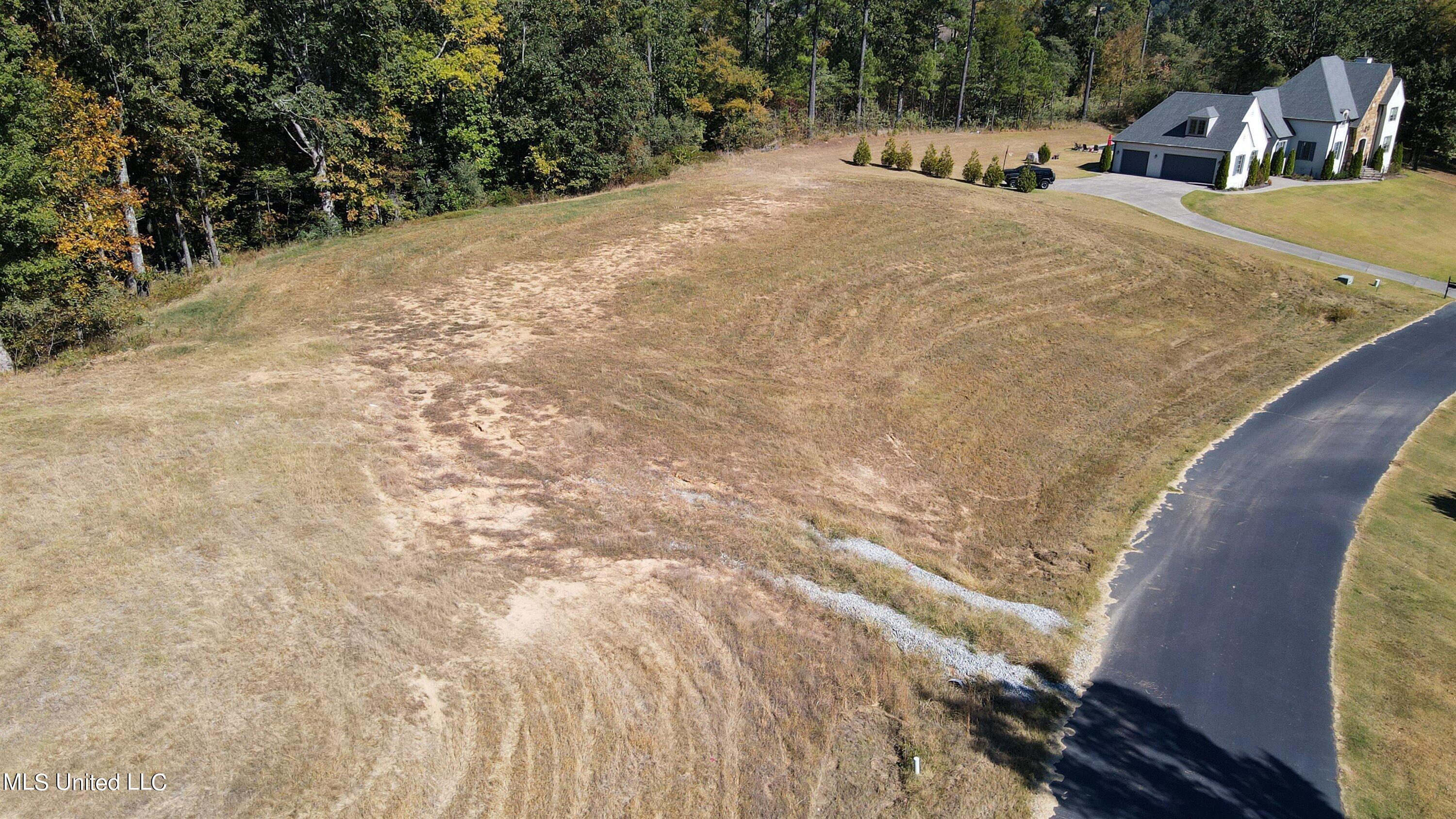 5665 Ginners Lane Hernando, MS 38632 - Photo 4 of 16 01-Drone-1