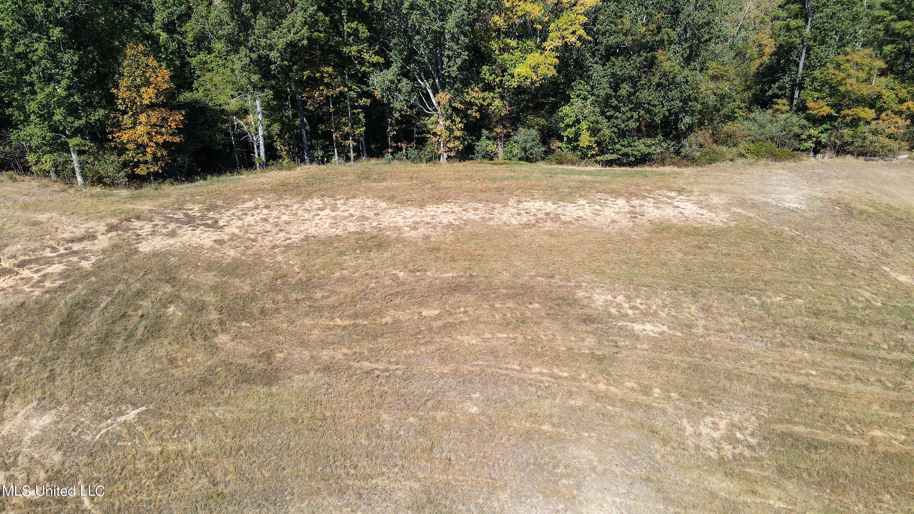 5665 Ginners Lane Hernando, MS 38632 - Photo 5 of 16 02-Drone-2