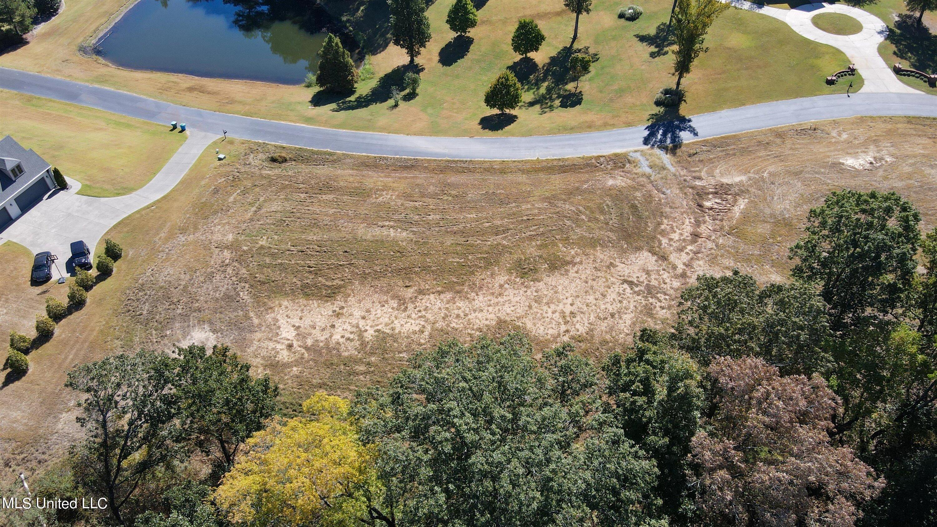 5665 Ginners Lane Hernando, MS 38632 - Photo 6 of 16 03-Drone-3