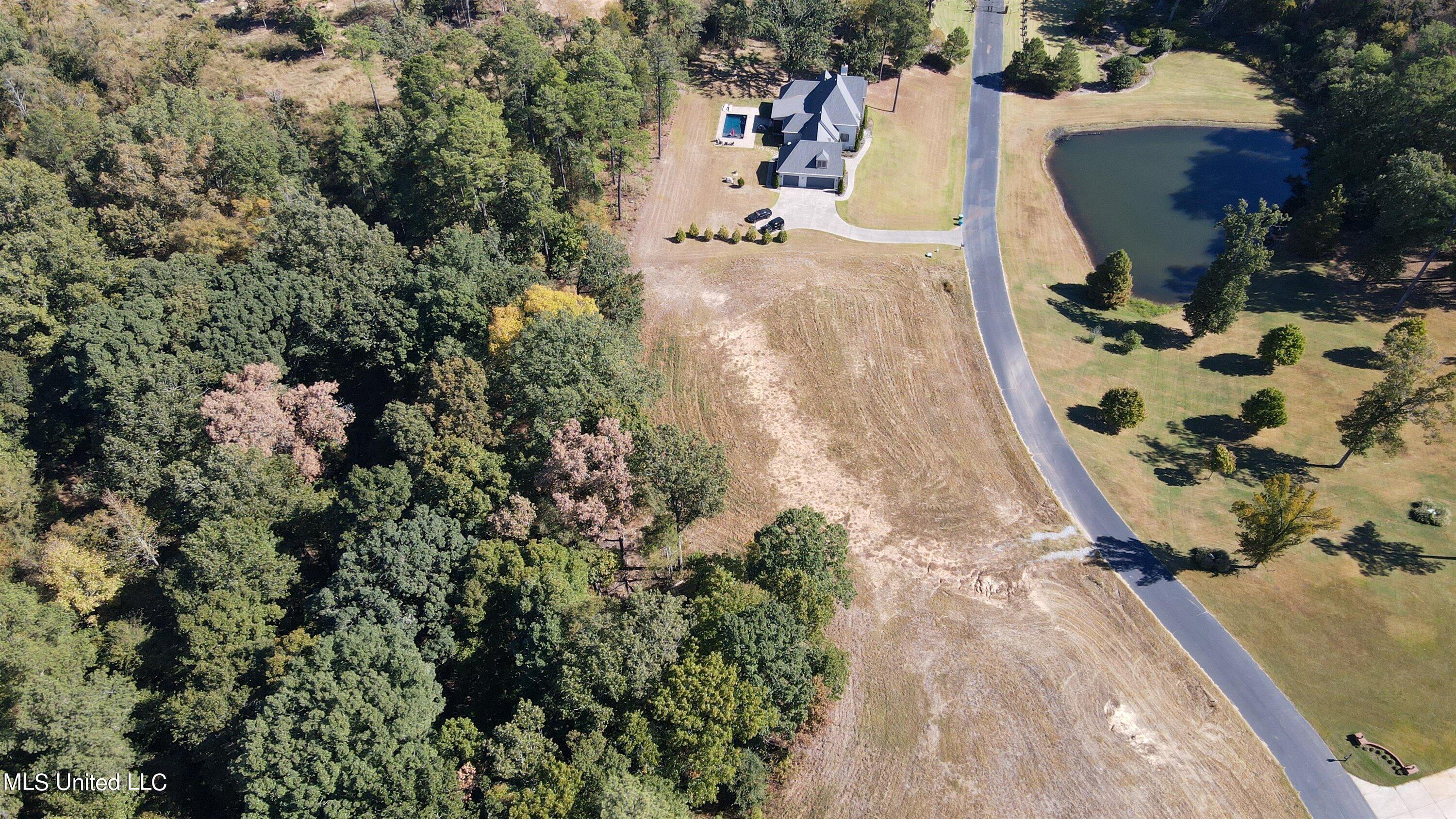 5665 Ginners Lane Hernando, MS 38632 - Photo 8 of 16 07-Drone-6
