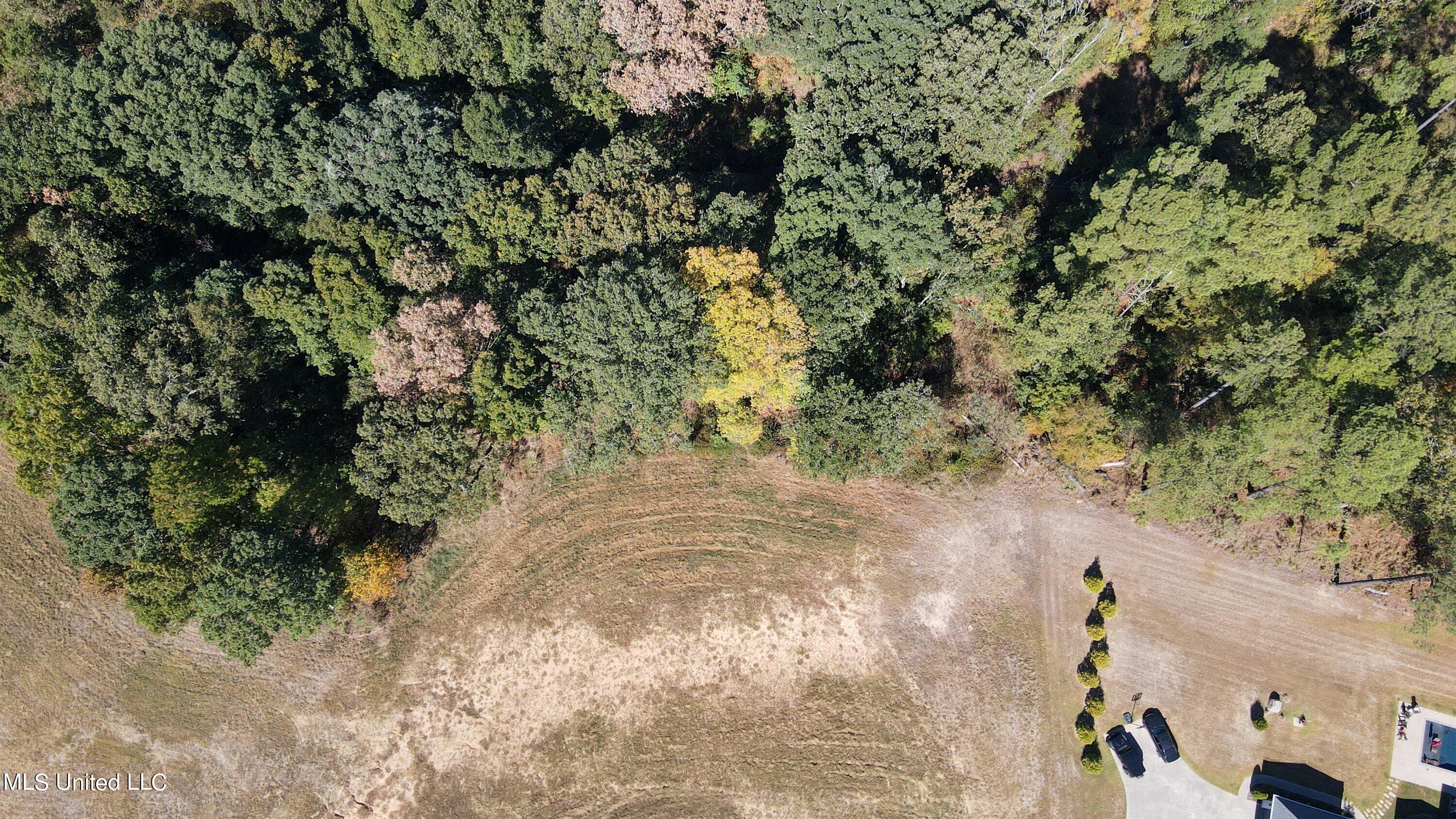 5665 Ginners Lane Hernando, MS 38632 - Photo 10 of 16 09-Drone-8