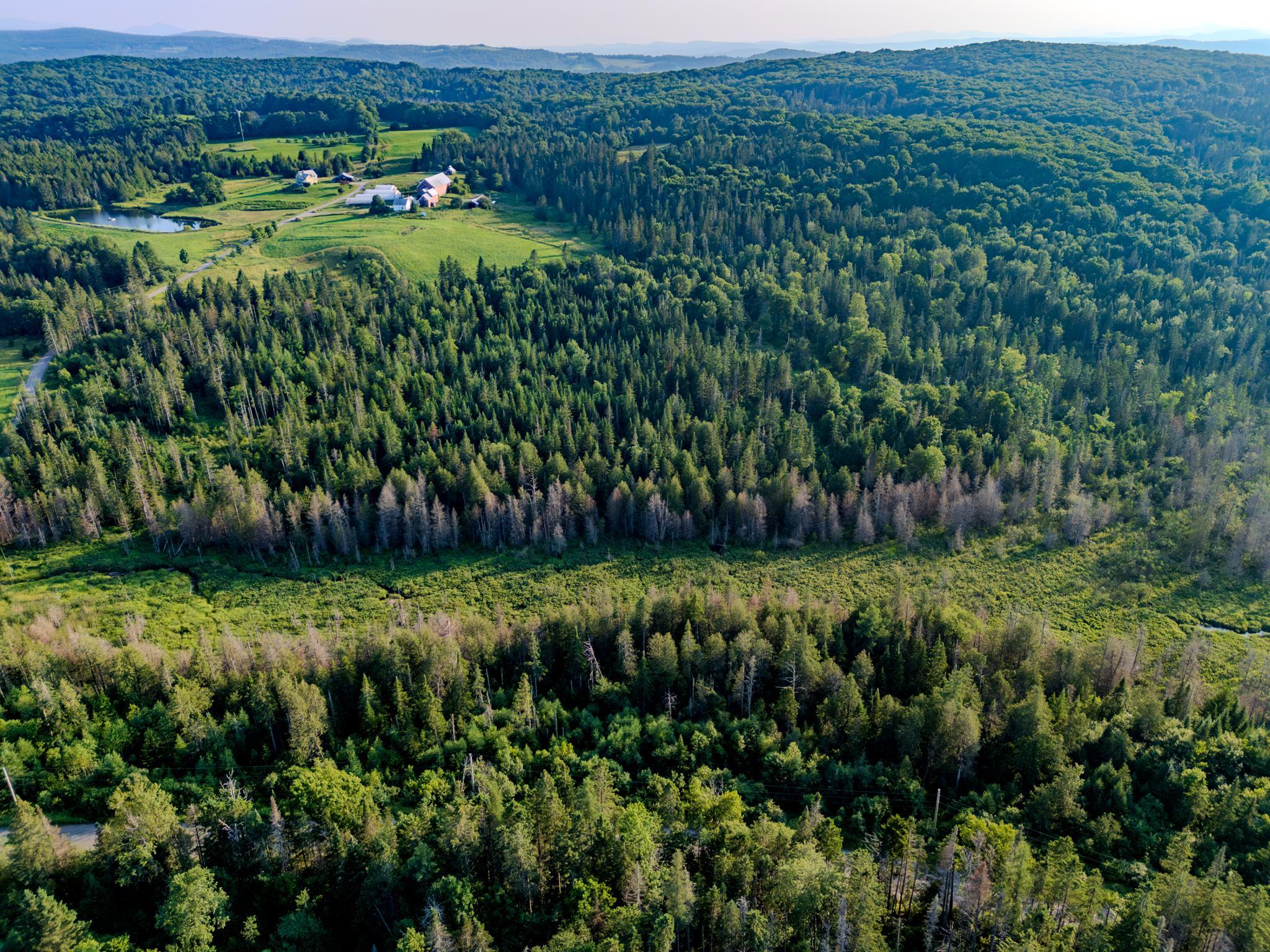 0 Watson Road Hardwick, VT 05843 - Photo 40 of 48