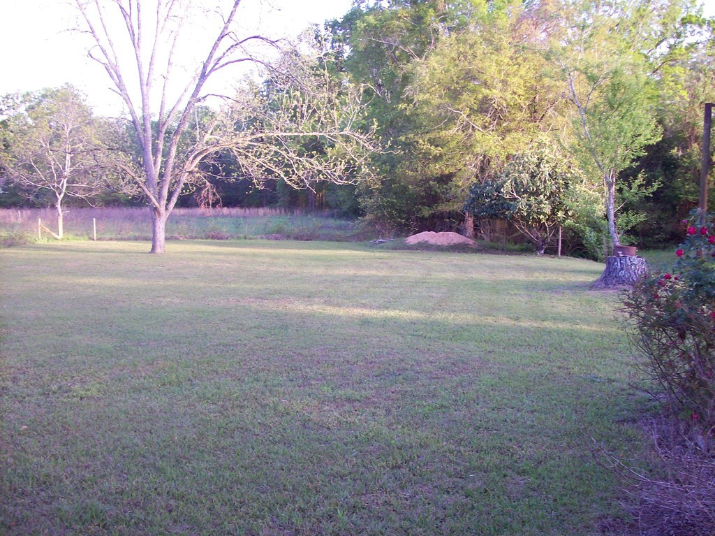 236 Chambers Road Macon, GA 31217 - Photo 26 of 29 a view of a field with trees in the background