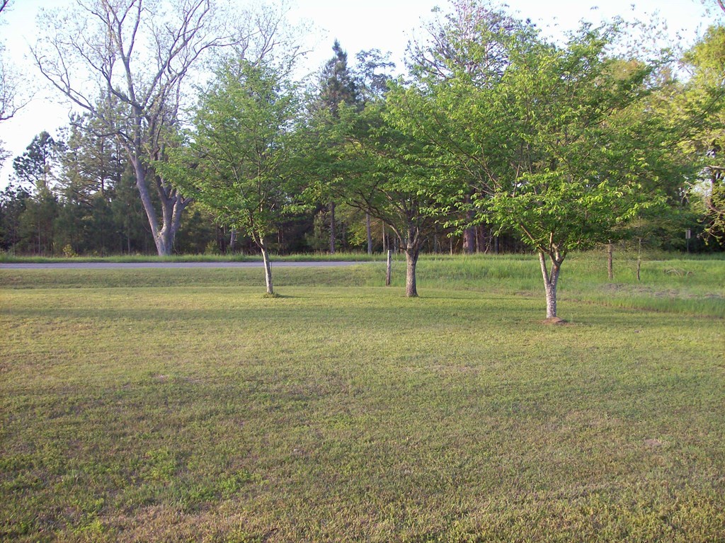 236 Chambers Road Macon, GA 31217 - Photo 27 of 29 a view of outdoor space with deck and yard