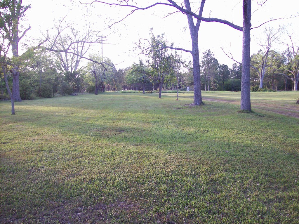 236 Chambers Road Macon, GA 31217 - Photo 28 of 29 a view of a field with trees