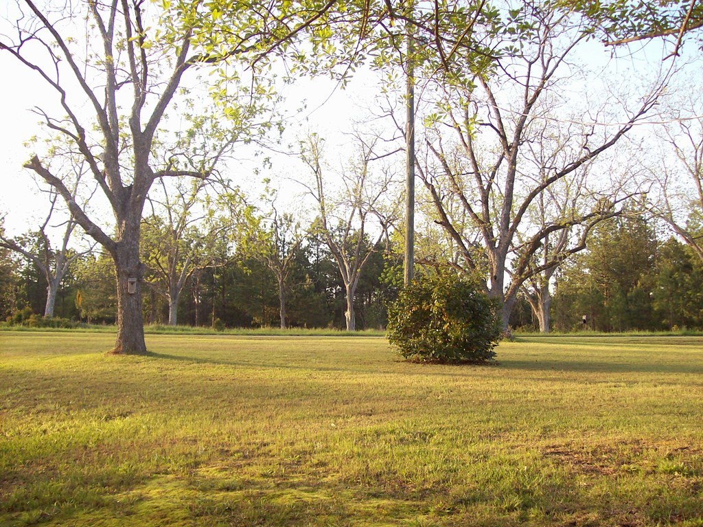 236 Chambers Road Macon, GA 31217 - Photo 29 of 29 a view of a yard with palm trees