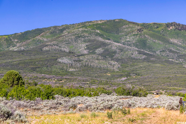 2120 Little Valley Road Wallsburg, UT 84082 - Photo 1 of 50