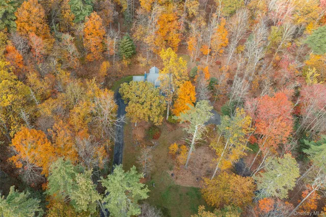 a close up of a plant