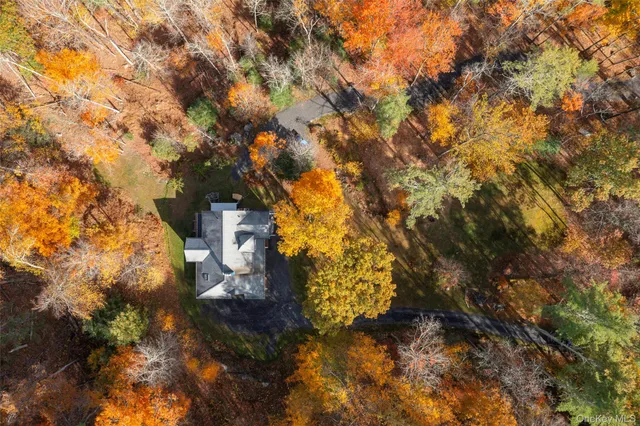 a view of a city with lush green forest