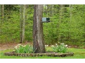 55 Baboosic Lake Road Amherst, NH 03031 - Photo 6 of 9