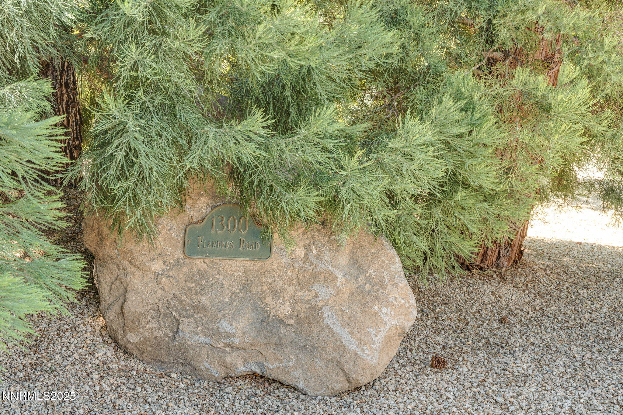 1300 Flanders Road Reno, NV 89511 - Photo 35 of 46 a view of a plant in a water