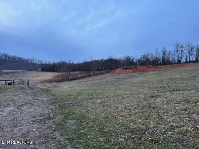 933 Frog Level Road Harrogate, TN 37752 - Photo 11 of 36 IMG_4029