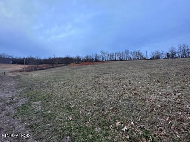 933 Frog Level Road Harrogate, TN 37752 - Photo 13 of 36 IMG_4031