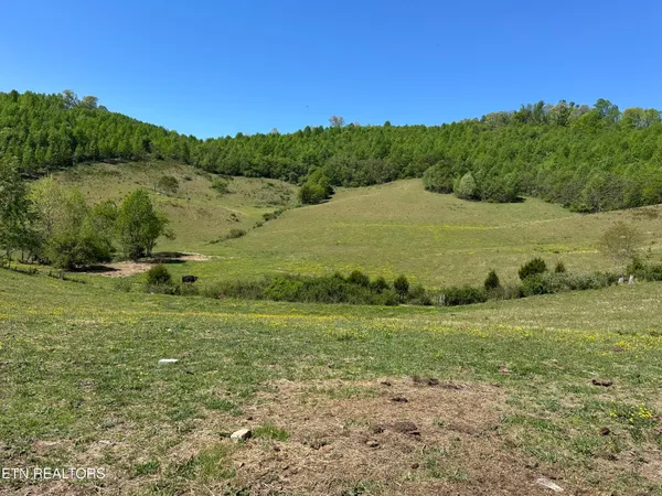 $349,000 | 933 Frog Level Road, Harrogate, TN 37752