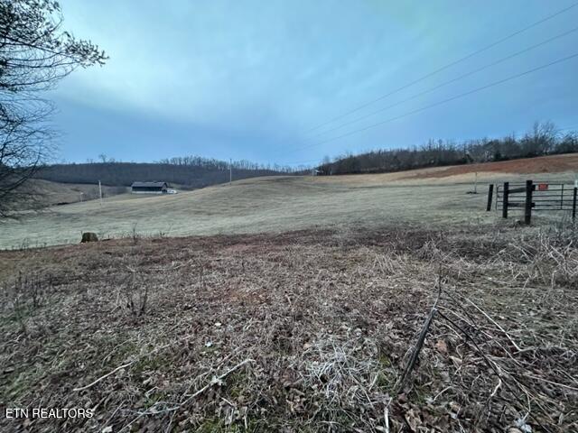 933 Frog Level Road Harrogate, TN 37752 - Photo 16 of 36 IMG_4034